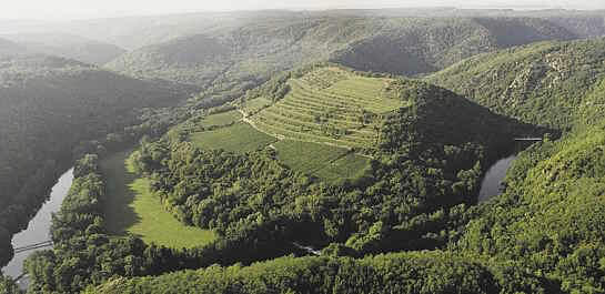 Letecký snímek vinice Šobes