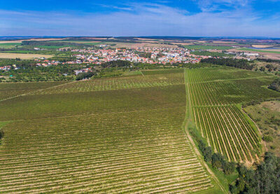 Putovn po vinicch